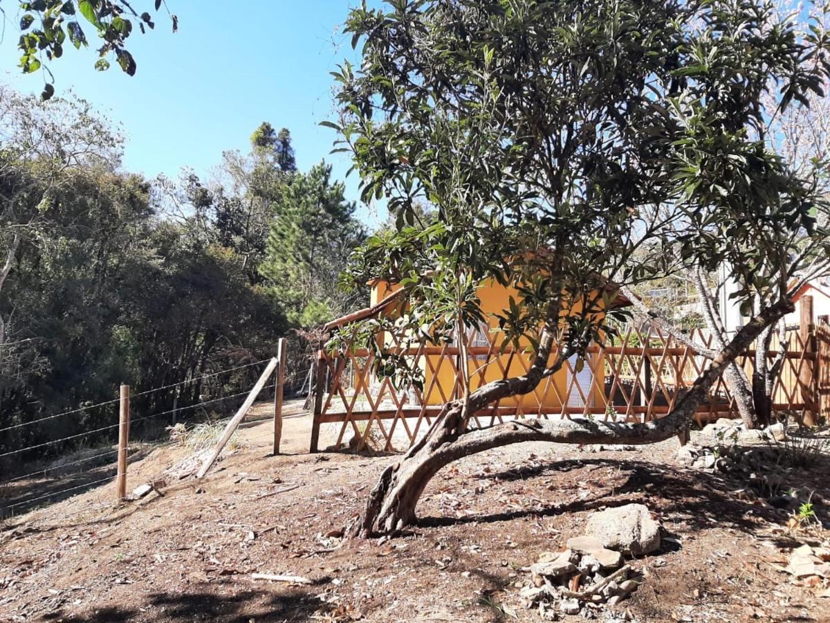 Casa Kiiro, Um Ambiente Tranquilo E De Sossego. Villa Santo Antônio do Pinhal Kültér fotó