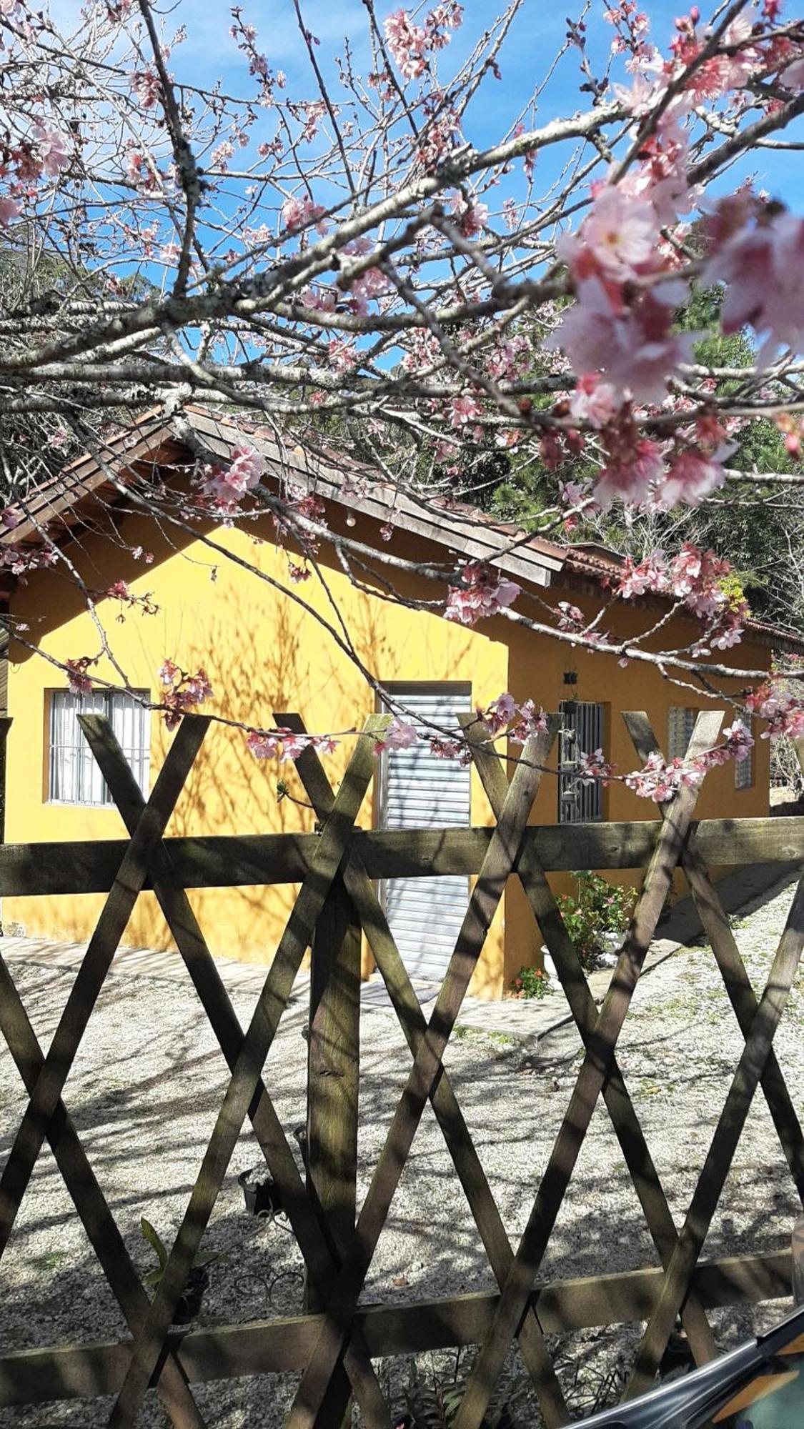 Casa Kiiro, Um Ambiente Tranquilo E De Sossego. Villa Santo Antônio do Pinhal Kültér fotó